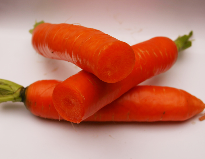 供应:菏泽市陈之锋:韩国七寸红萝卜11月上市