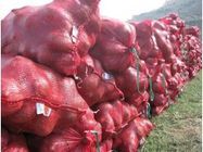 武威市赵：红皮洋葱11月上市