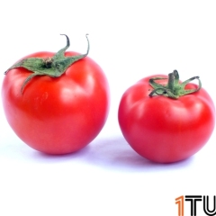 新乡市郭华丽：天宝天数11月上市