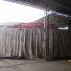 济宁黄皮洋葱 葱头黄铜色至淡黄色