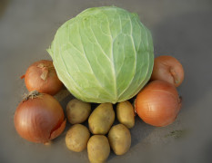 山东滨州求购各种蔬菜用于加工