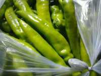 苗先生：羊角辣椒12月上市