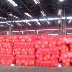 潍坊市王亮：红金瓜/红南12月上市