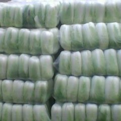 湖北嘉鱼大量青杂白菜热销中！！