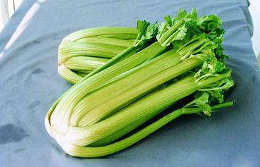 菏泽市李先生：美国西芹12月上市