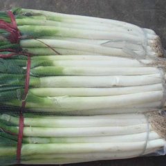 临沂市吴开启：章丘大葱12月上市