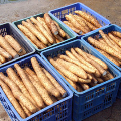 衡水市李先生：白山药12月上市