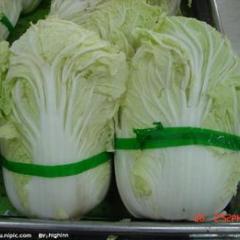 商丘市3000元/亩