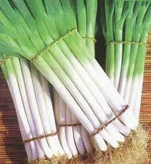 济南市郑路镇铁杆大葱1.3元/斤