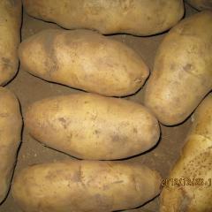 河北围场益民马铃薯合作社