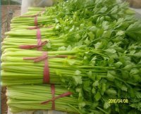 临沂市辛集镇房家庄子蔬菜批发市场小芹菜0.93元/斤