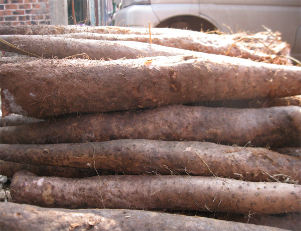 供应:南宁市昆仑镇农业服务中心二楼淮山3.5元/斤