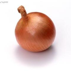 甘肃省武威市凉州区黄皮洋葱1.5元/斤