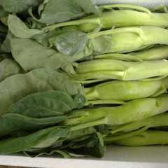 汕头市涂城市场大芥兰0.6元/斤
