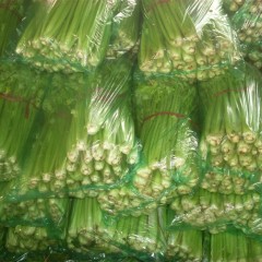 临沂市辛集镇房庄子批发市场美国西芹1.051.15元/斤