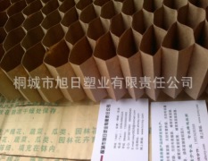 安庆市双新开发区蔬菜育苗纸筒5元/个