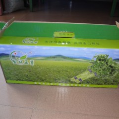 青岛市金口镇金口玉芽3-4元/斤