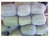 大量供应冬瓜