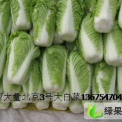 临沂市南桥蔬菜基地北京新三号0.28元/斤