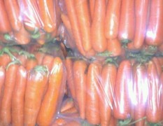 周口市包屯谭岗蔬菜基地红萝卜0.75元/斤