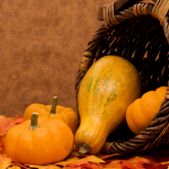 文昌市冯坡镇昌里村金韩密本南瓜0.8元/斤