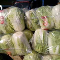 平顶山市河南省汝州市纸坊乡李家村青杂三号0.35元/斤