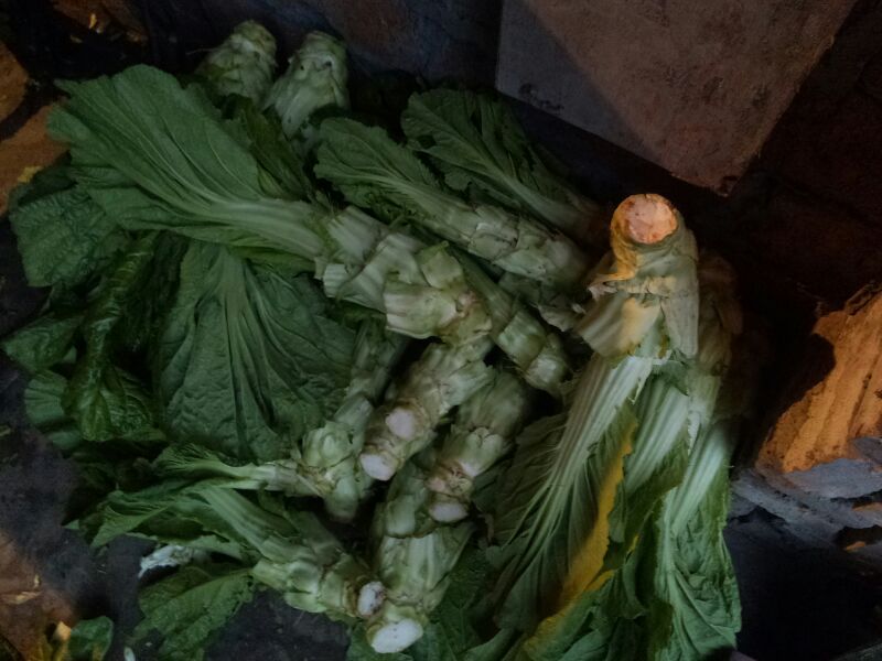 供应:荣昌县峰高镇庙山村棒菜0.4元/斤