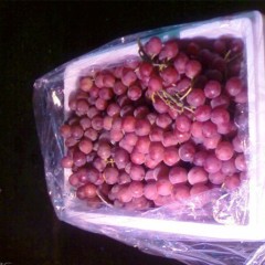 广东东莞下桥市场代销葡萄代销红提青提