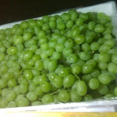 批发代销红提葡萄-青提葡萄-巨峰葡萄-夏黑葡萄