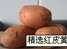 曲靖市急购~青薯9号(红皮土豆)1500元/吨