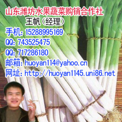 潍坊市新寨镇巨峰葡萄2.0元/斤