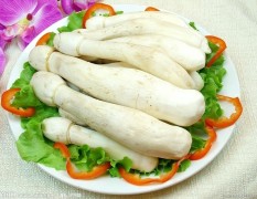 济南市北毛峪鸡腿菇3.5元/斤