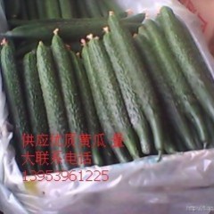 临沂市辛集镇房家庄子蔬菜批发市场德瑞特721黄瓜
