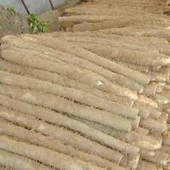 江苏徐州丰县白芋长山药