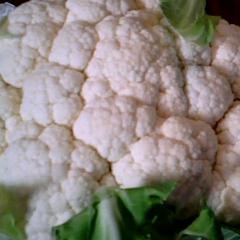 孝感市云梦县肖李村五组【雪玉菜