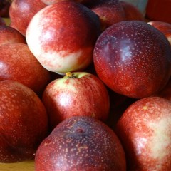 随州农村大学生网上卖油桃！