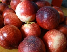 随州农村大学生网上卖油桃！