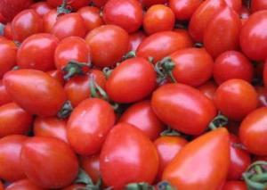 聊城市燕店蔬菜基供应樱桃西红柿今天3.5元左右