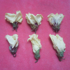 周口市马厂镇供应黄秋葵今天80元/斤