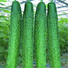 临沂市辛集镇高晓东供应亮条今天2.00元/斤