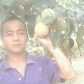 安徽省砀山县最大的瓜果蔬菜供应基地