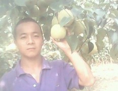 安徽省砀山县最大的瓜果蔬菜供应基地