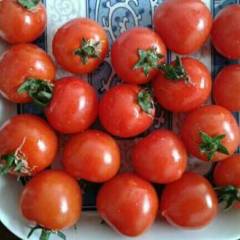 聊城市肖家庄镇谢可新供应樱桃西红柿今天3元/斤