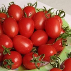 聊城市吴玉达供应樱桃西红柿今天4.2元/斤