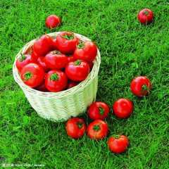 驻马店市罗店镇李俊供应硬粉今天元/斤