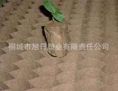 安庆市双新开区谢艺供应地产棉今天1200元/件