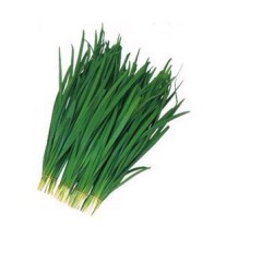 廊坊市李庄蔬菜批王东跃供应韭菜花(青农)今天0.7-0.8元/斤