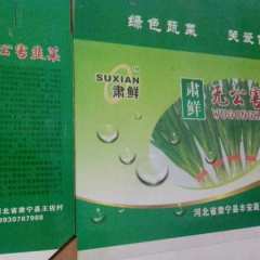 沧州市王佐村左老涛：肃鲜牌韭菜0.65元/斤