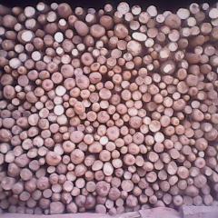 菏泽朱瑞东：今天九斤黄山药价格