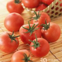 临沂市薛庄镇高占峰：金鹏